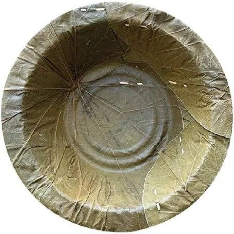 Sal Leaf Bowl Pack of 50 - 6 Inches