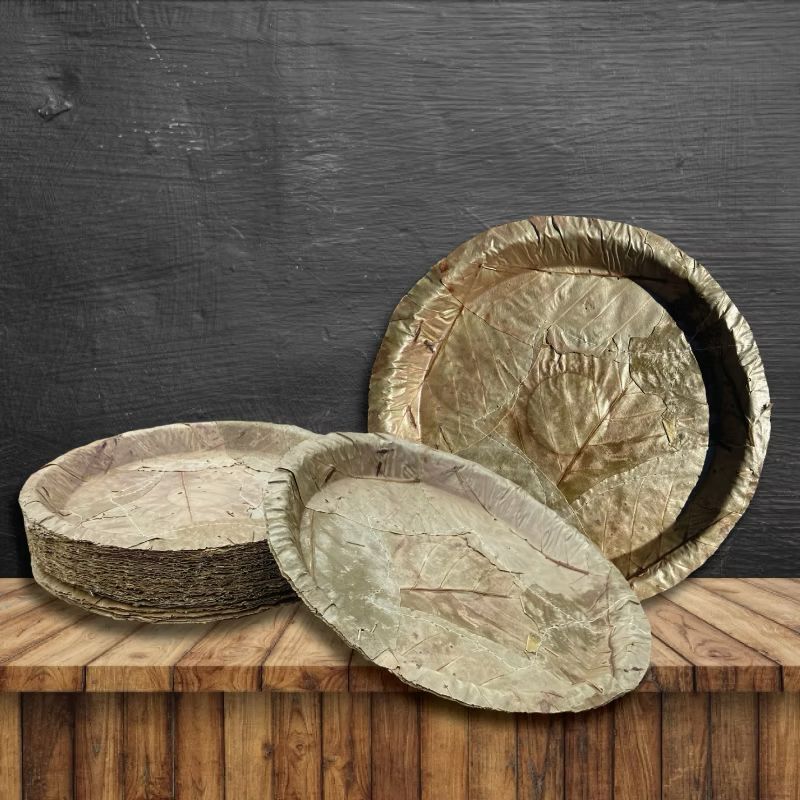 Sal Leaf Plate | Pack of 25 | 12 Inches